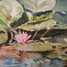 She Always Wanted a Lily Pond She Always Wanted a Lily Pond